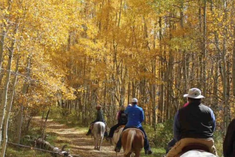 Horseback riding
